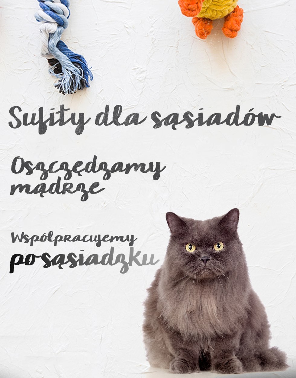 Dowiedz się więcej